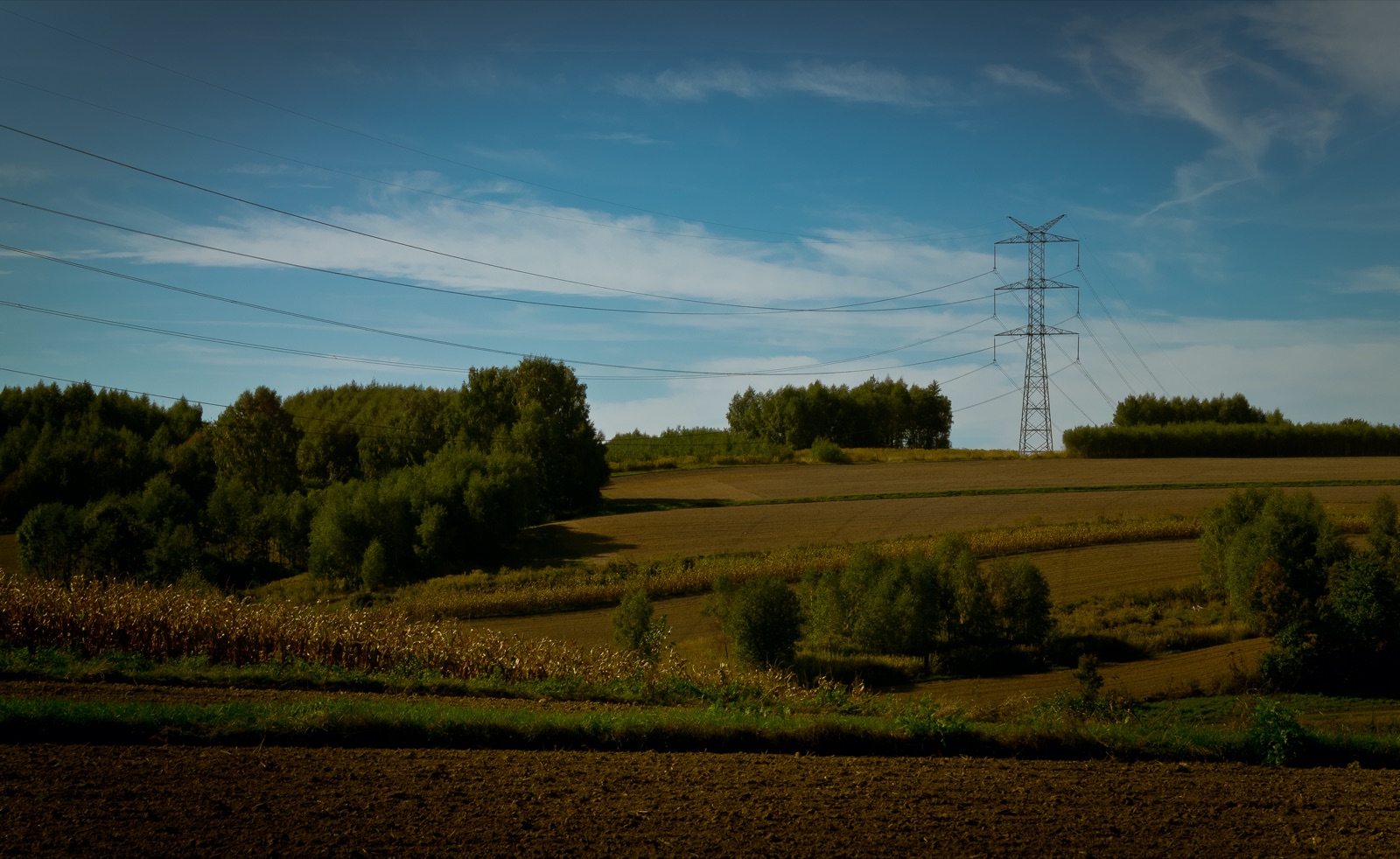 High-voltage transmission lines crossing rural landscape (file photo).